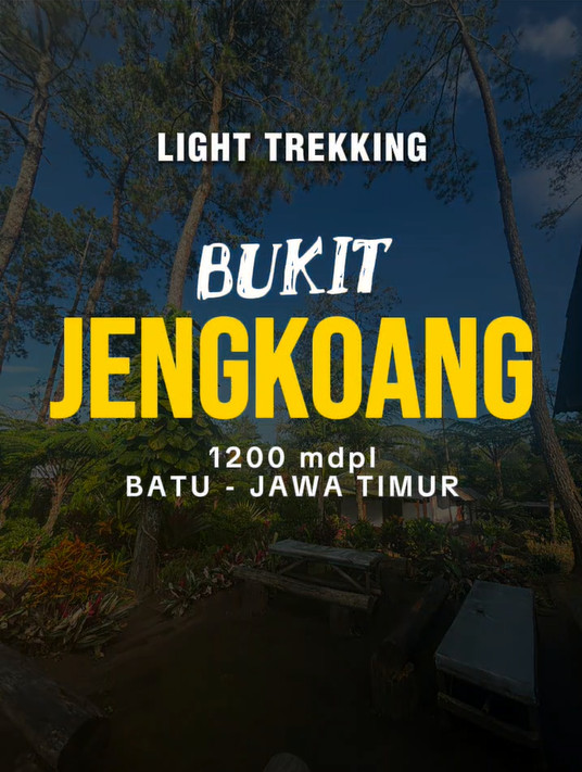 Video Lokal 1
