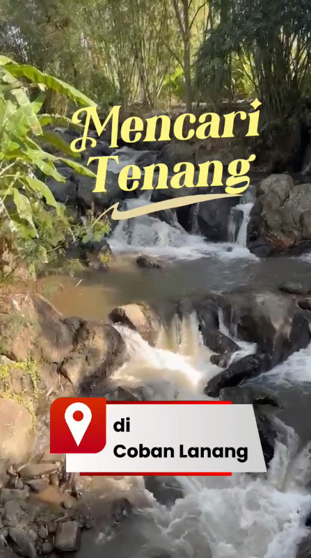 Video Lokal 1